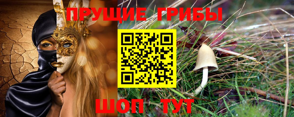 Галлюциногенные грибы Cubensis Выборг