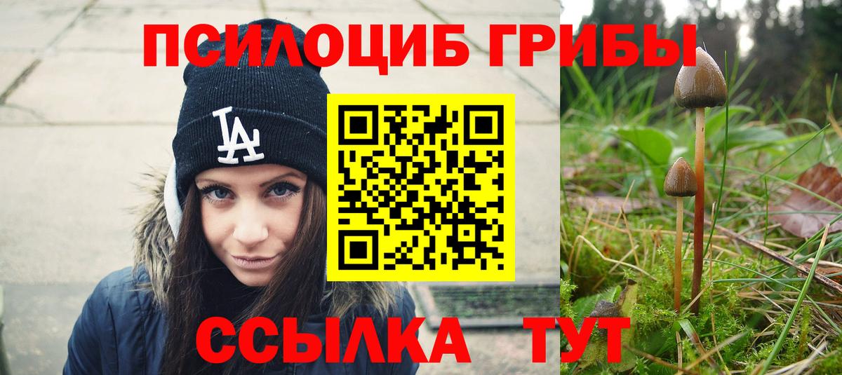 Псилоцибиновые грибы ЛСД  Галлюциногенные грибы мухоморы  Выборг  как найти   Вход с VPN 